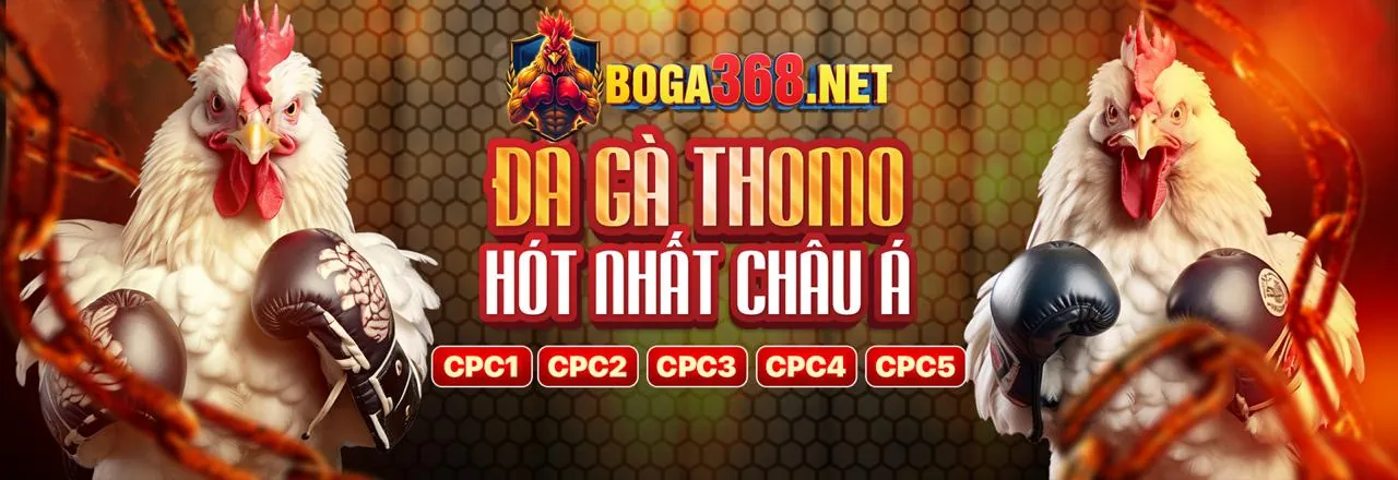 Đá gà trực tuyến kịch tính tại Sinlebet Link Mới